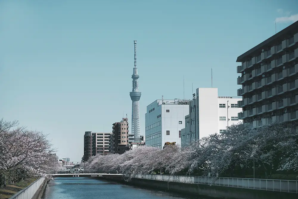 Tokyo Skytree on näkyy selvästi Tokion katukuvassa.